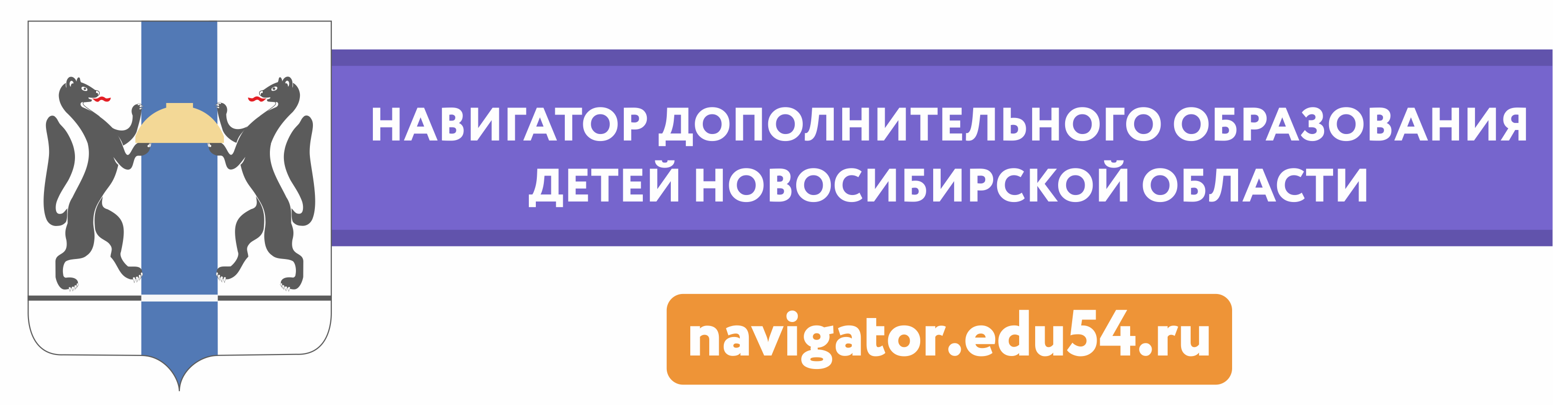 Навигатор 45 курганская. Навигатор дополнительного образования детей Новосибирской области. Навигатор ДОД НСО. Баннер навигатор ДОД НСО. Навигатор дополнительного образования логотип.